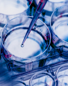 Read more about the article Membangun Masa Depan Berkelanjutan Melalui Bioteknologi